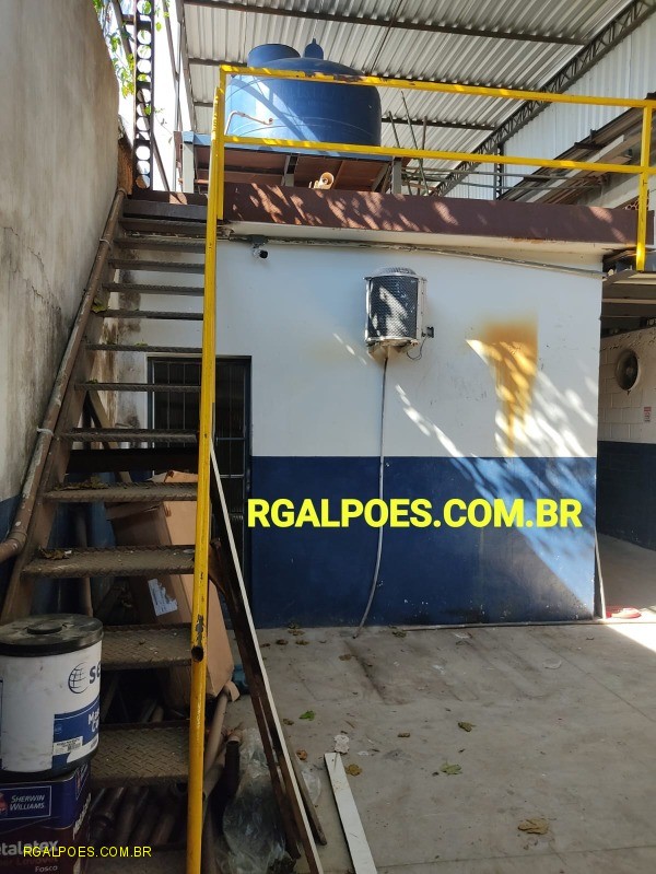 Depósito-Galpão - Foto 11