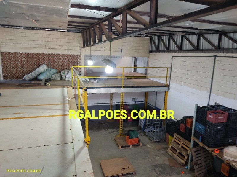 Depósito-Galpão - Foto 12