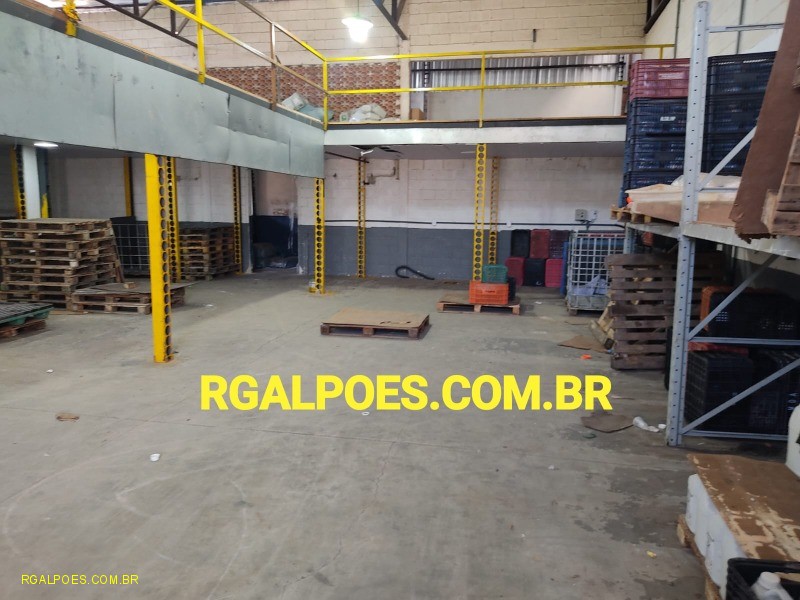 Depósito-Galpão - Foto 10