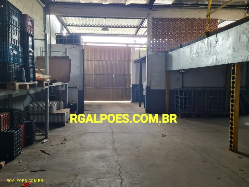 Depósito-Galpão - Foto 3