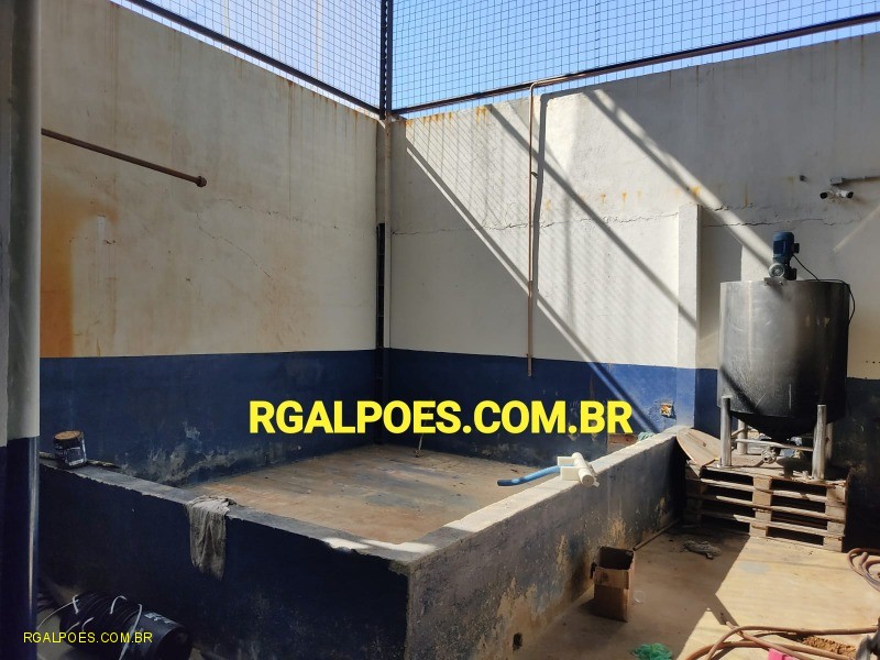Depósito-Galpão - Foto 6
