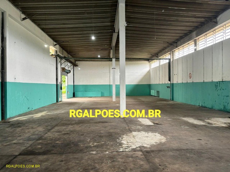 Depósito-Galpão - Foto 1
