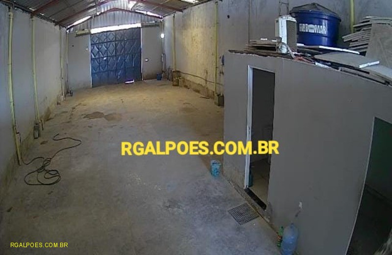 Depósito-Galpão - Foto 5