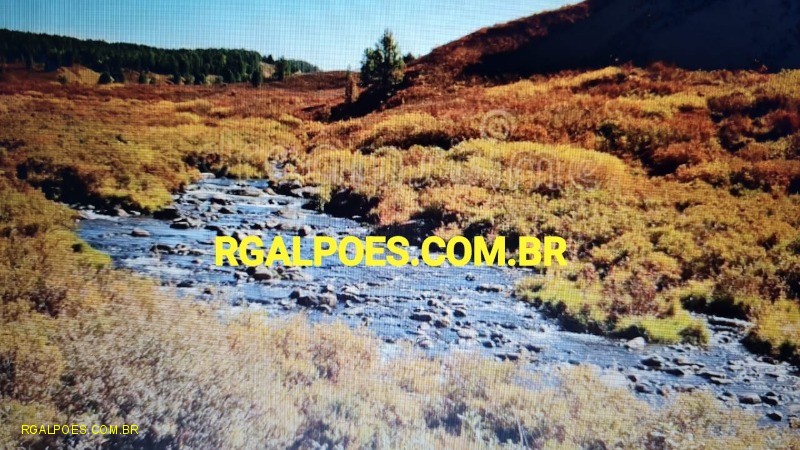 Fazenda, 64 hectares - Foto 13