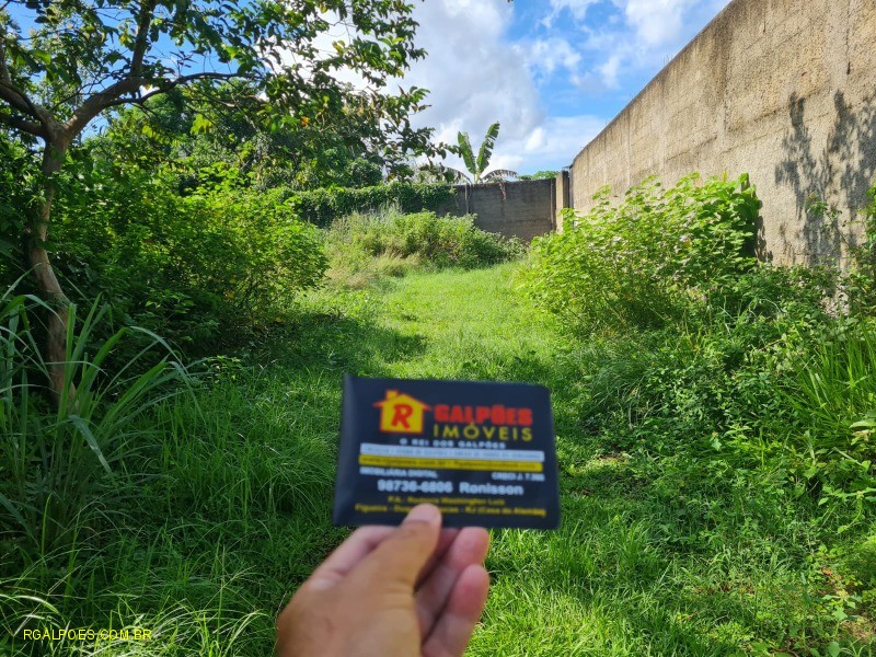 Depósito-Galpão - Foto 14