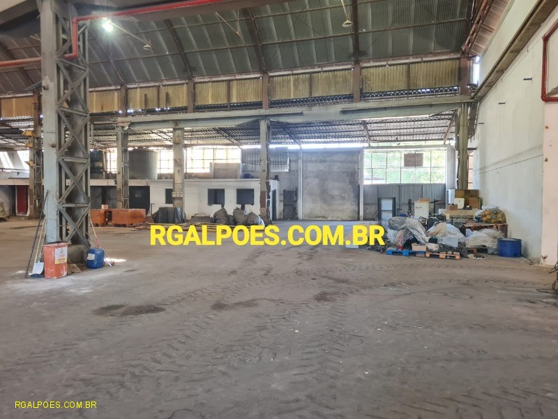 Depósito-Galpão - Foto 5