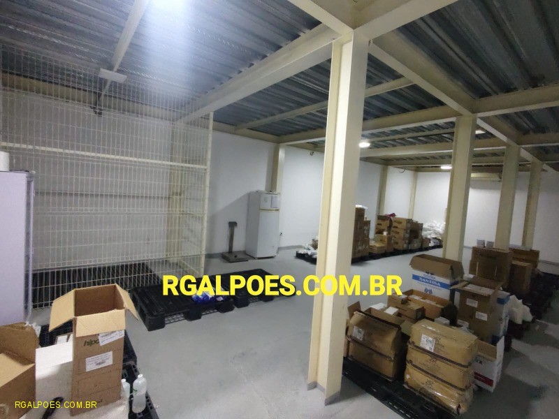 Depósito-Galpão - Foto 12