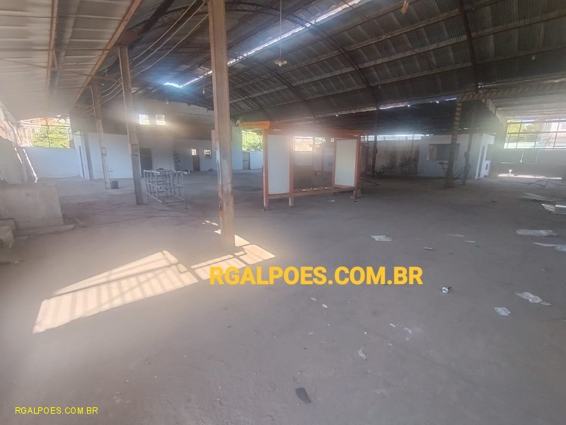 Depósito-Galpão - Foto 6