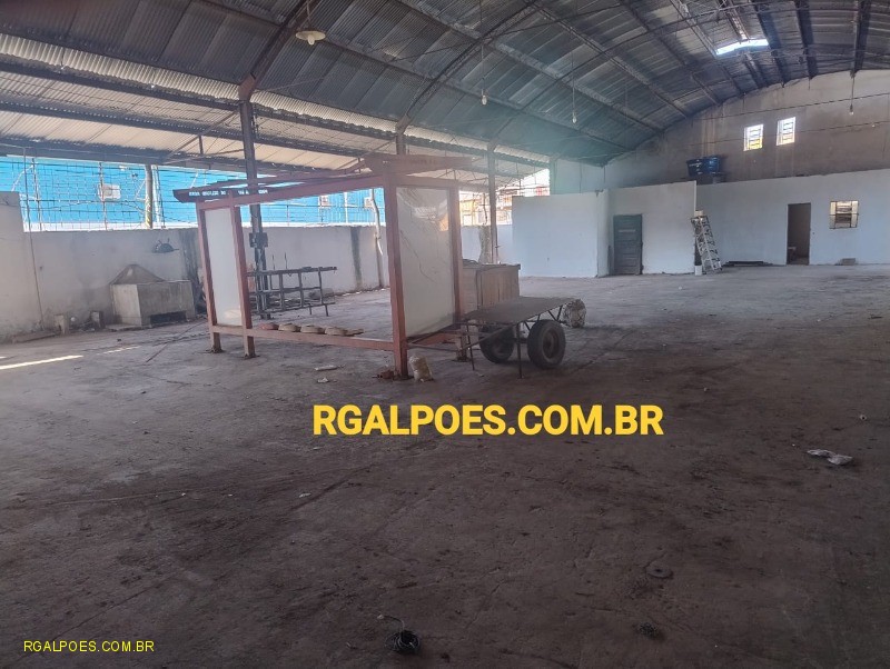 Depósito-Galpão - Foto 7