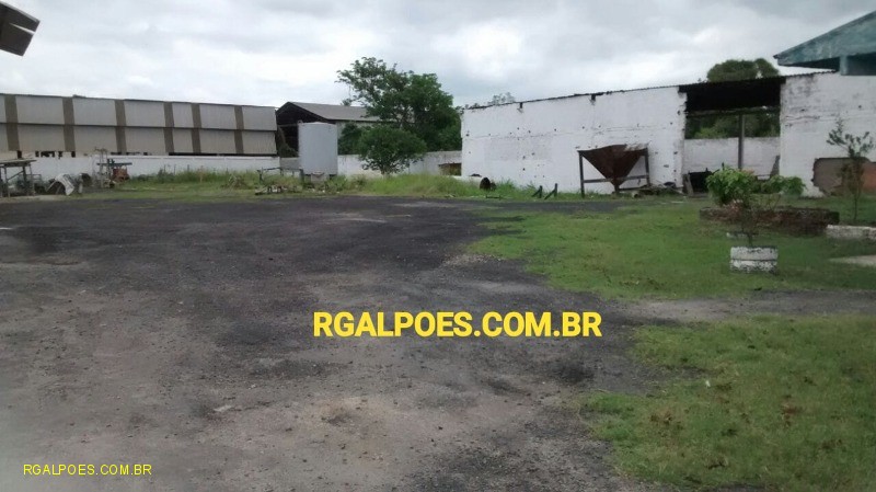 Depósito-Galpão - Foto 2