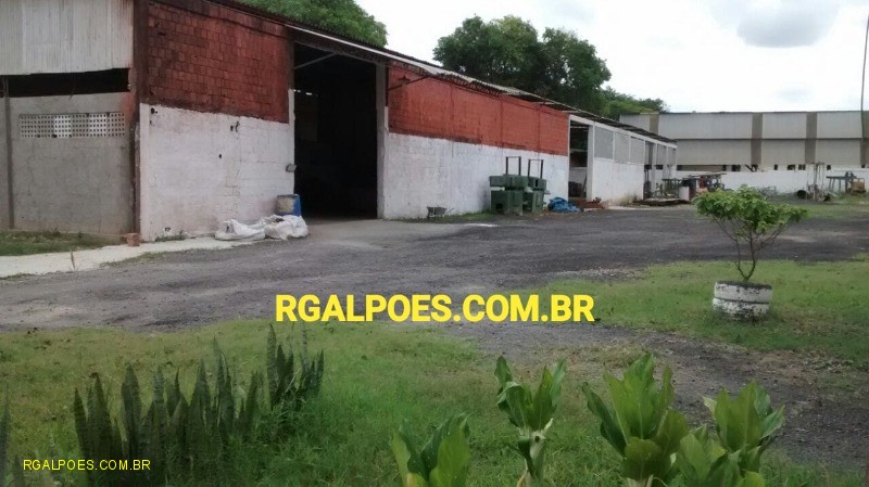 Depósito-Galpão - Foto 4