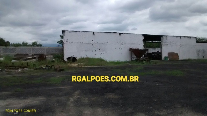 Depósito-Galpão - Foto 3