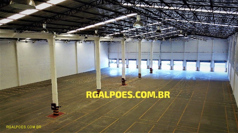 Depósito-Galpão - Foto 1