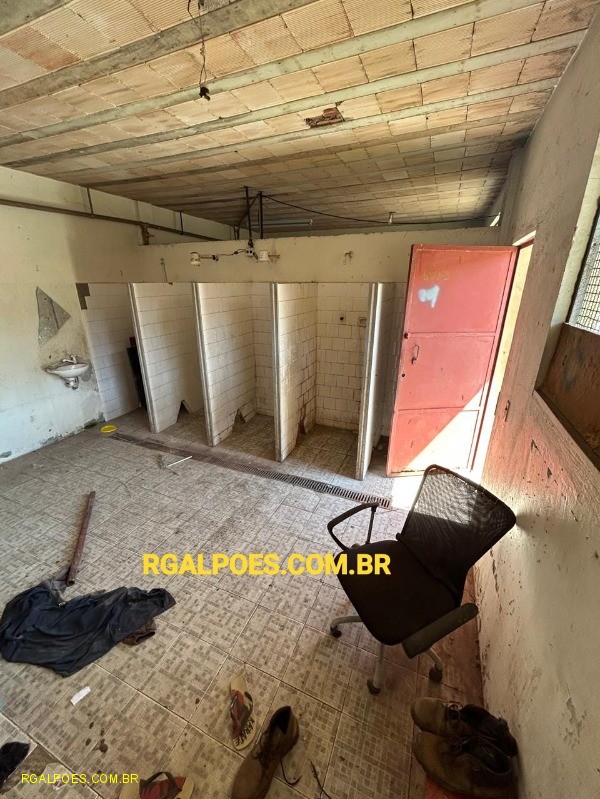 Depósito-Galpão - Foto 6
