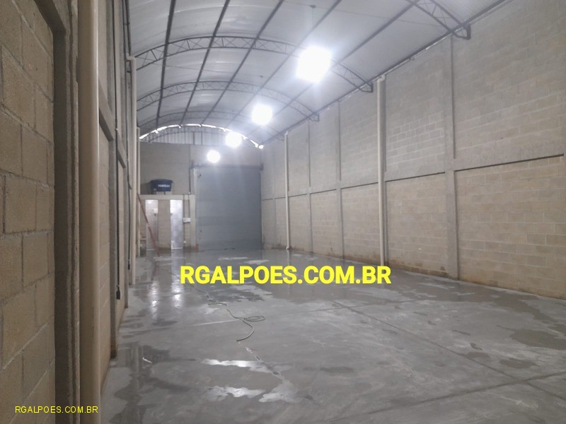 Depósito-Galpão - Foto 1