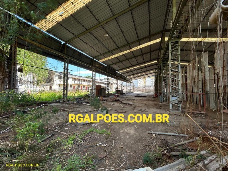 Depósito-Galpão - Foto 8
