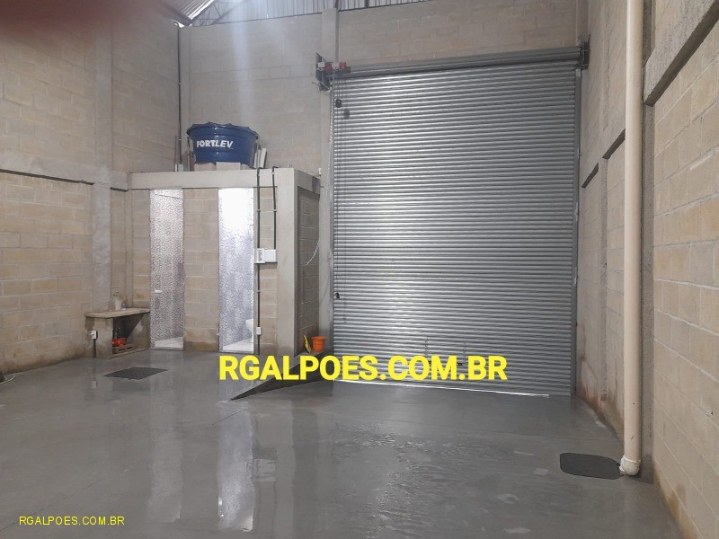 Depósito-Galpão - Foto 5