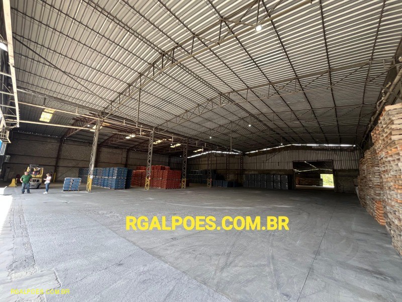 Depósito-Galpão - Foto 11