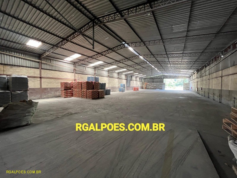 Depósito-Galpão - Foto 1