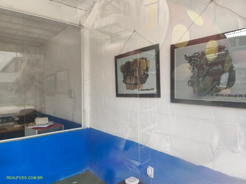 Depósito-Galpão - Foto 10