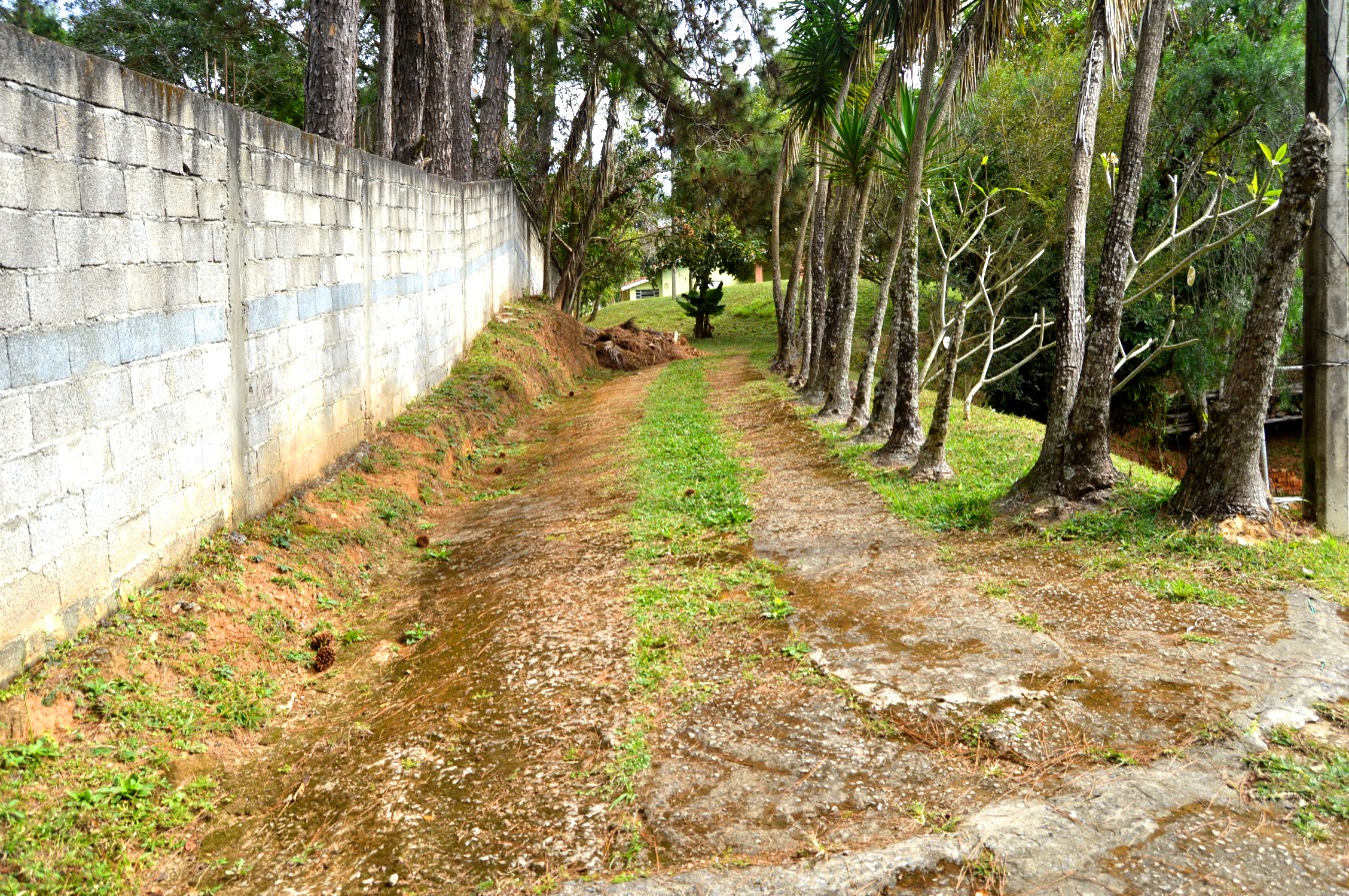 Chácara à venda com 4 quartos, 411m² - Foto 11