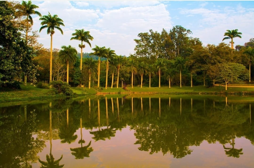 Terreno, 1100 m² - Foto 9