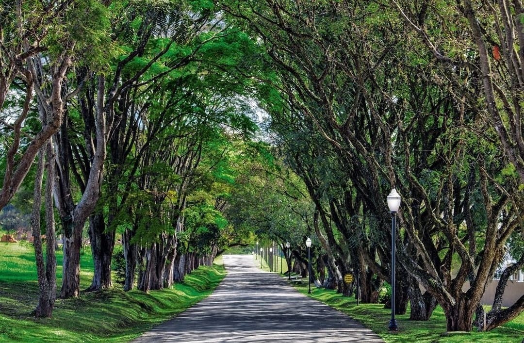 Terreno, 1100 m² - Foto 4