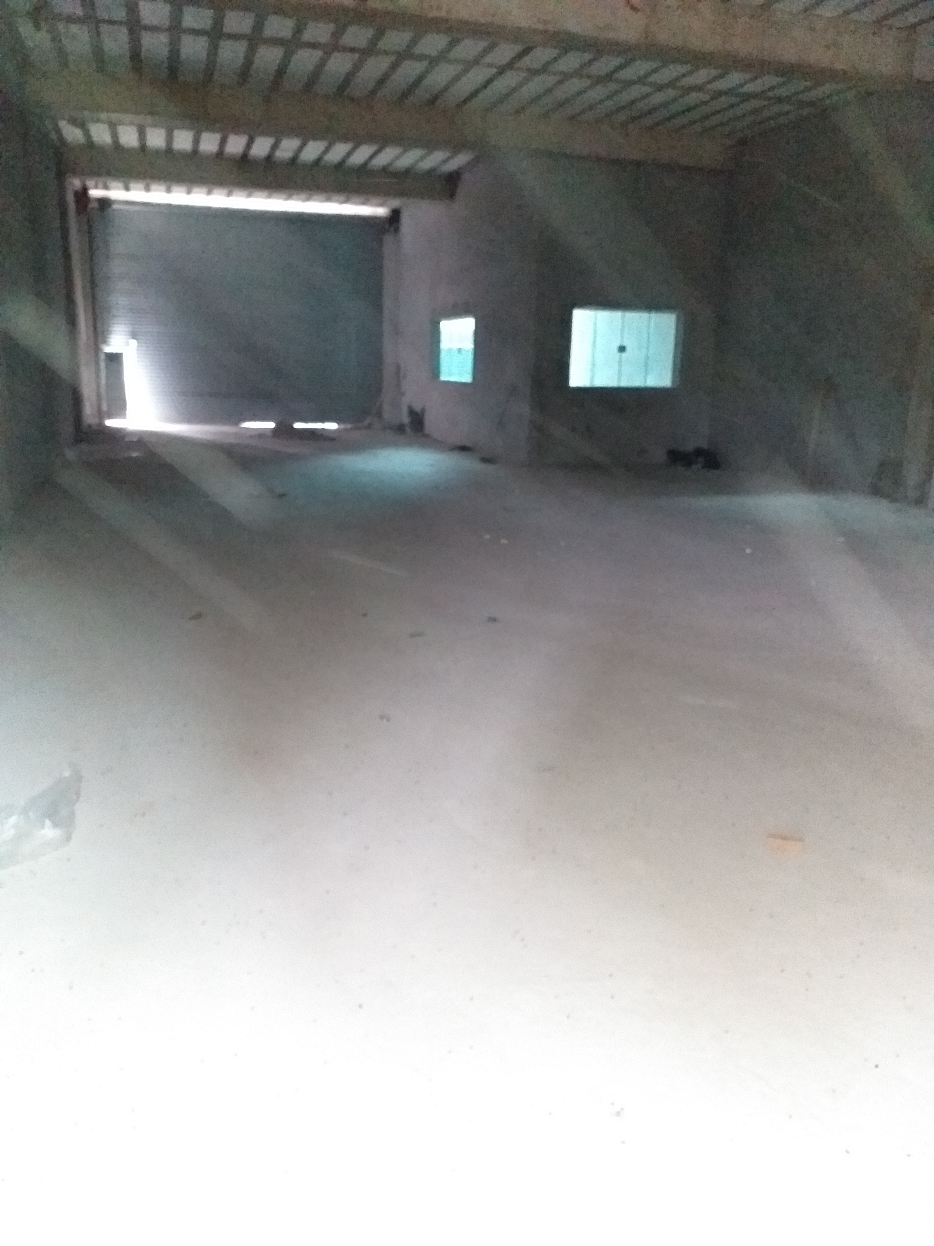 Prédio Inteiro para alugar, 900m² - Foto 3