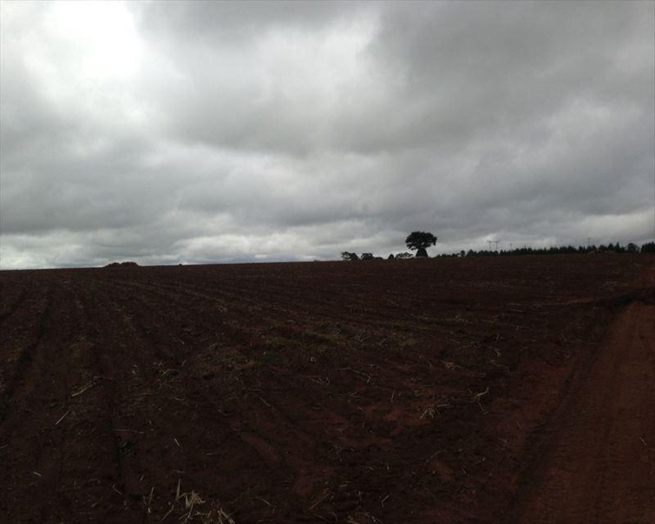 Fazenda à venda com 6 quartos, 364m² - Foto 6