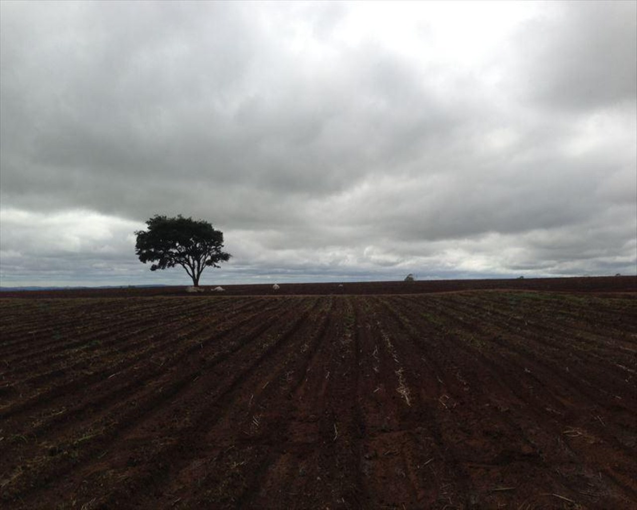 Fazenda à venda com 6 quartos, 364m² - Foto 7