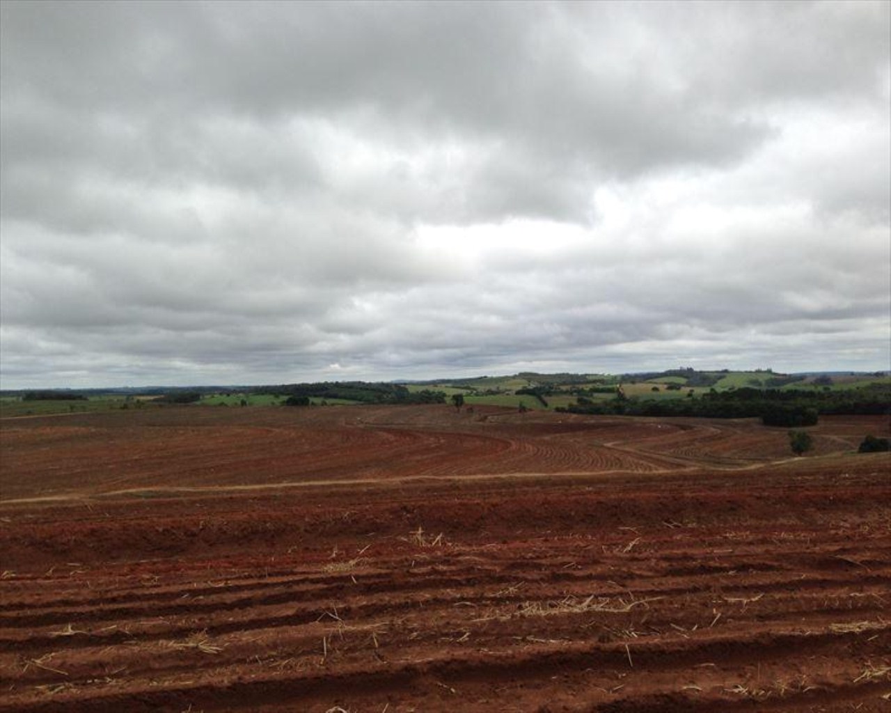 Fazenda à venda com 6 quartos, 364m² - Foto 11