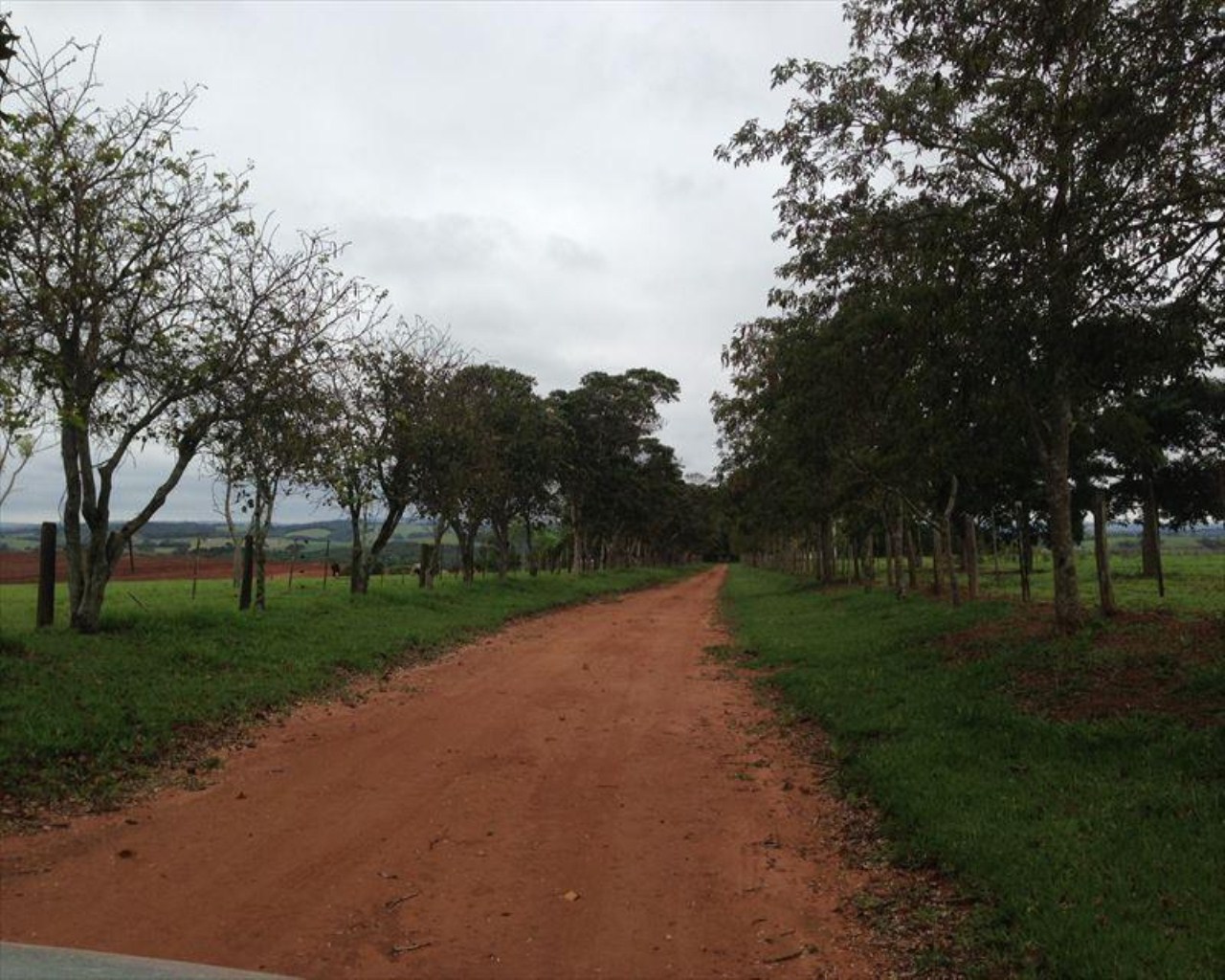 Fazenda à venda com 6 quartos, 364m² - Foto 12