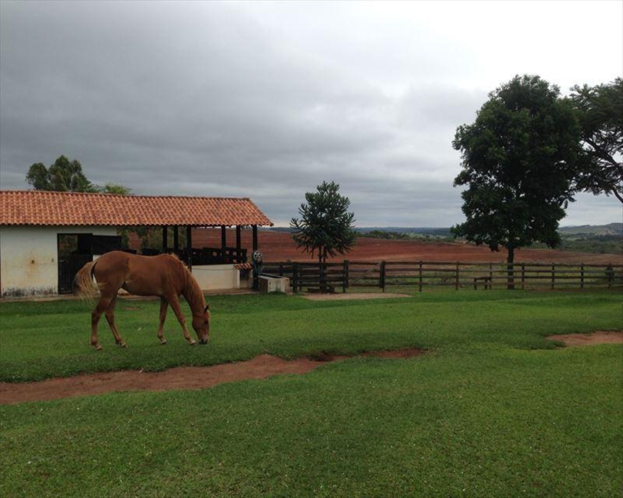 Fazenda à venda com 6 quartos, 364m² - Foto 17