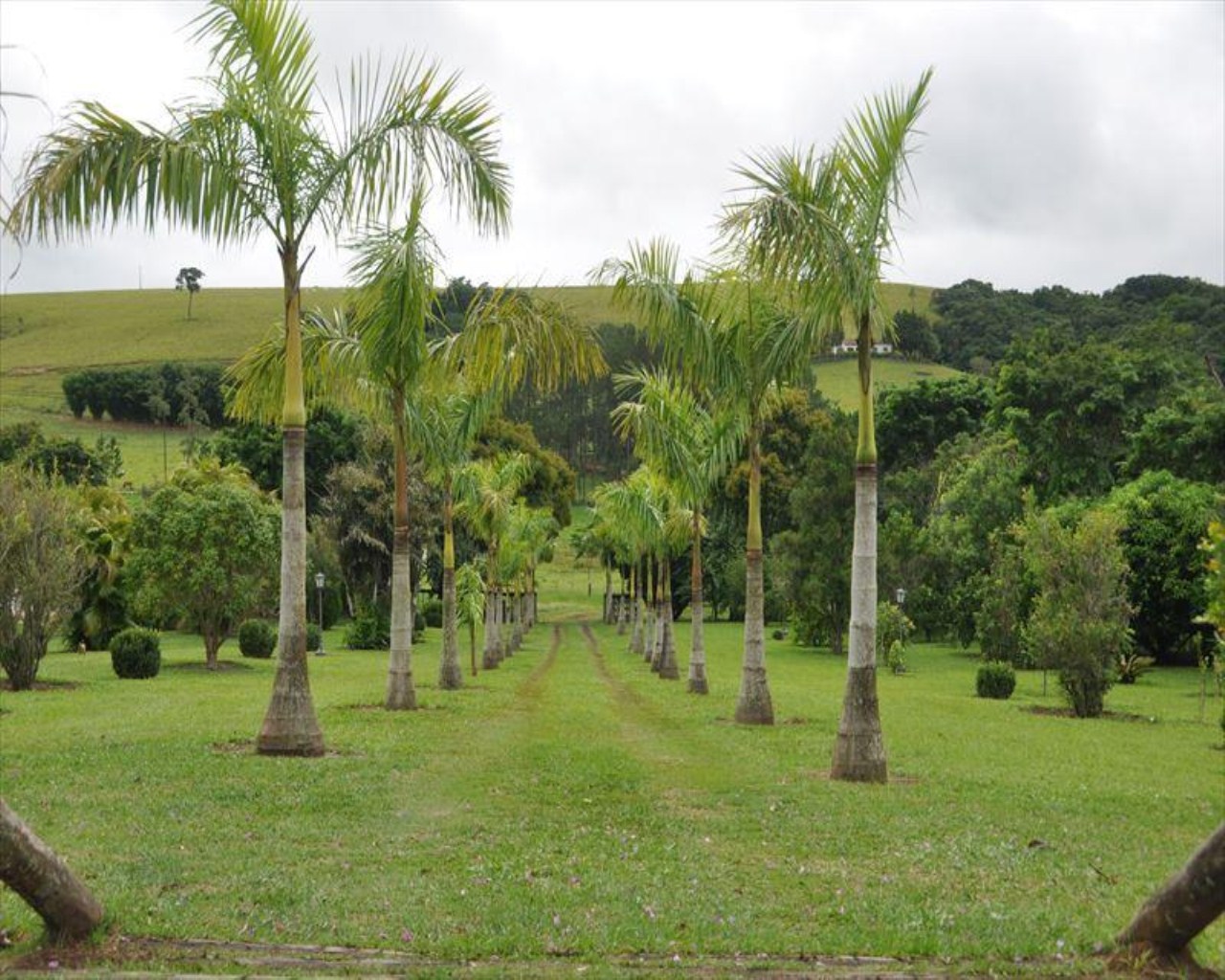 Fazenda à venda com 6 quartos, 364m² - Foto 23