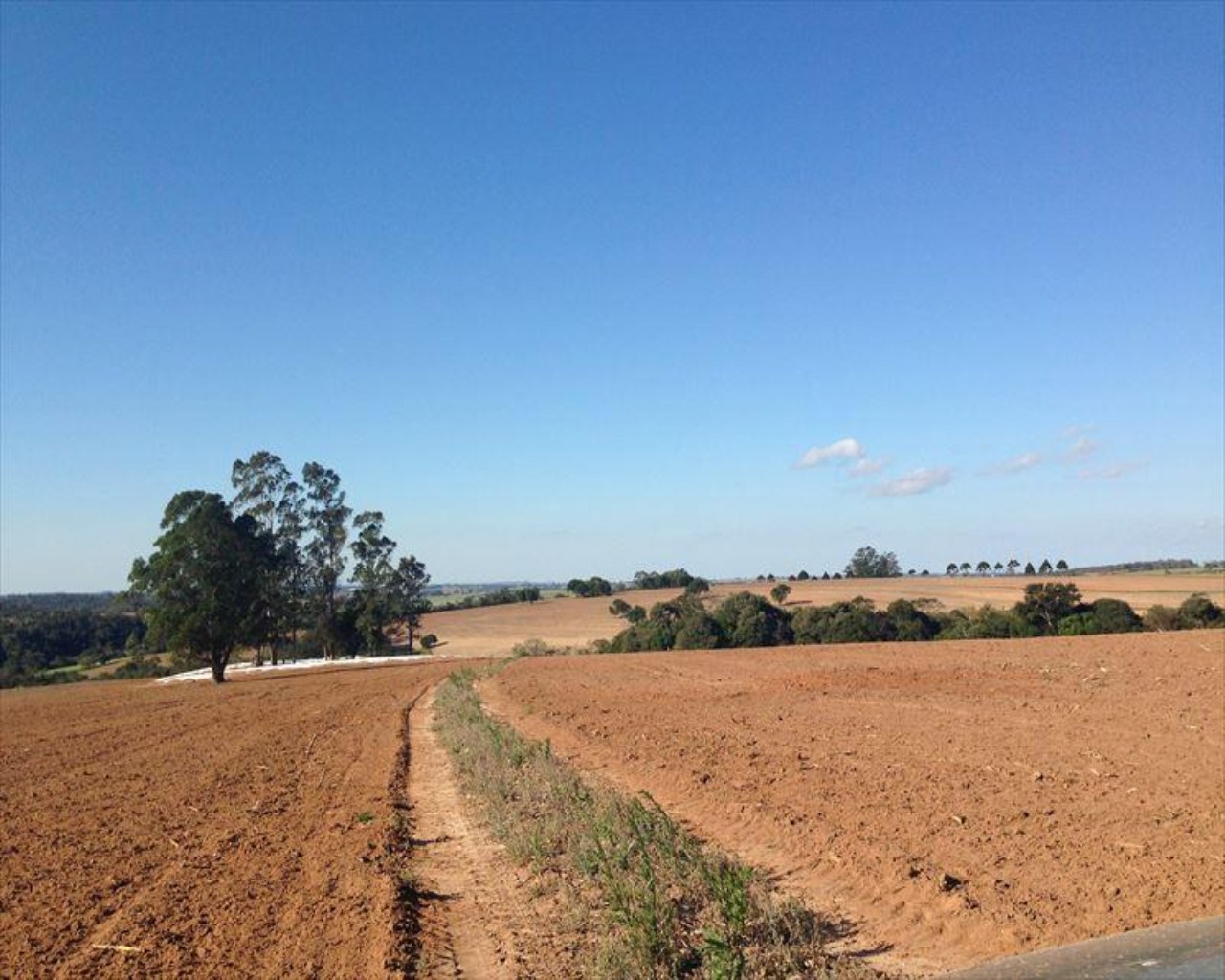 Fazenda à venda com 6 quartos, 364m² - Foto 31