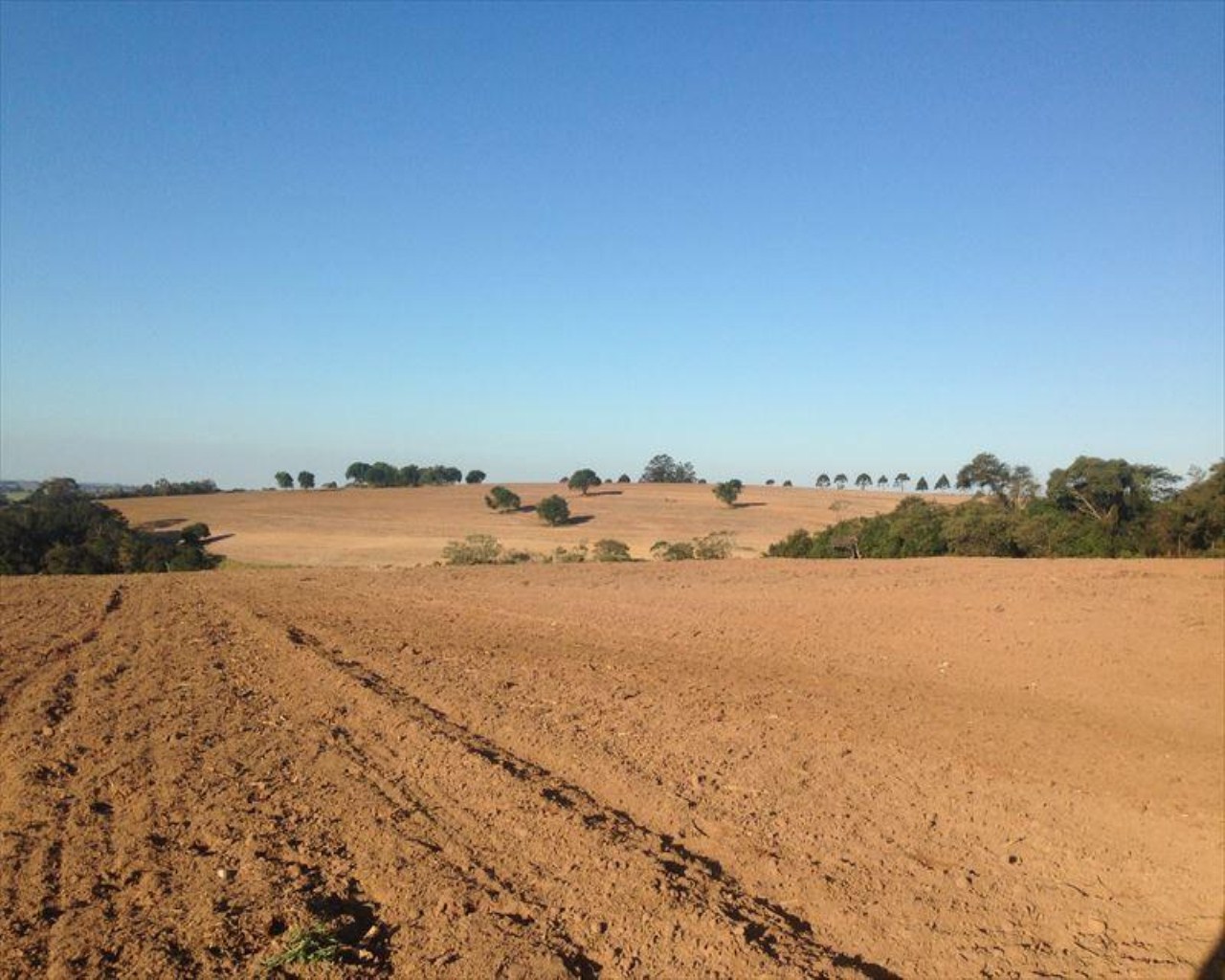 Fazenda à venda com 6 quartos, 364m² - Foto 32