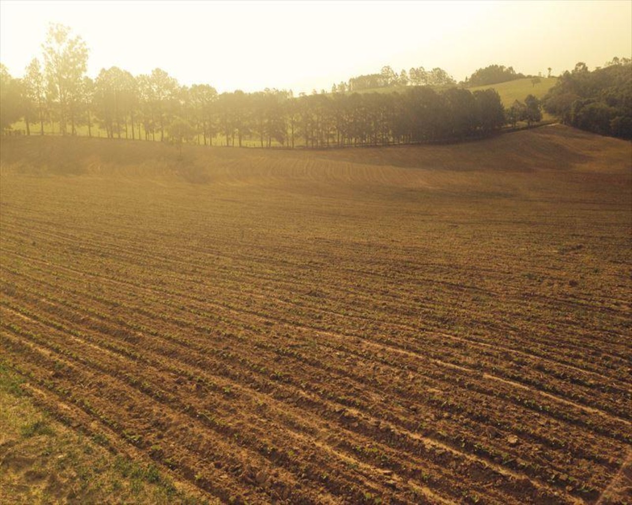 Fazenda à venda com 6 quartos, 364m² - Foto 38