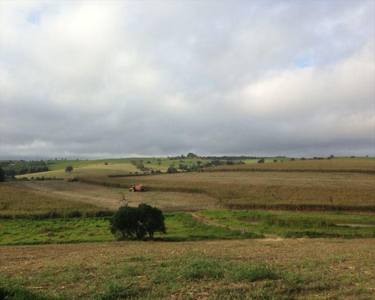 Fazenda à venda com 6 quartos, 364m² - Foto 58