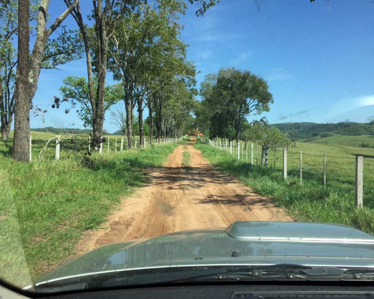 Fazenda à venda com 1 quarto, 648m² - Foto 3