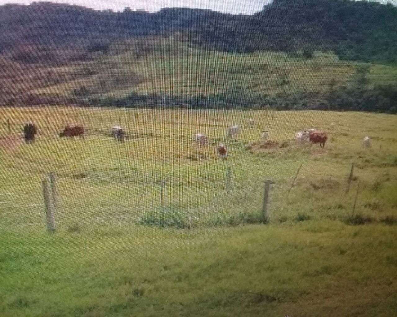 Fazenda à venda com 1 quarto, 648m² - Foto 4