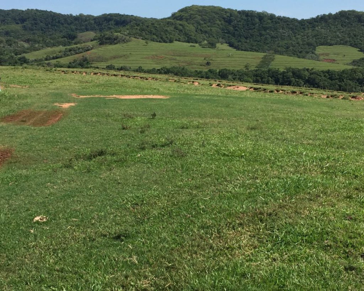 Fazenda à venda com 1 quarto, 648m² - Foto 14