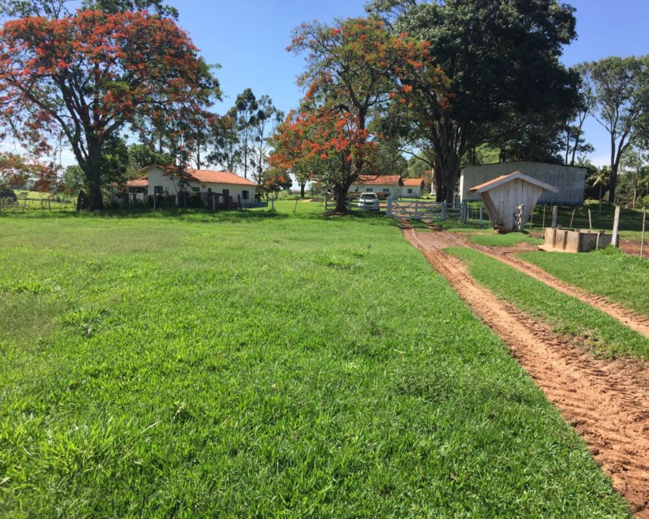 Fazenda à venda com 1 quarto, 648m² - Foto 23