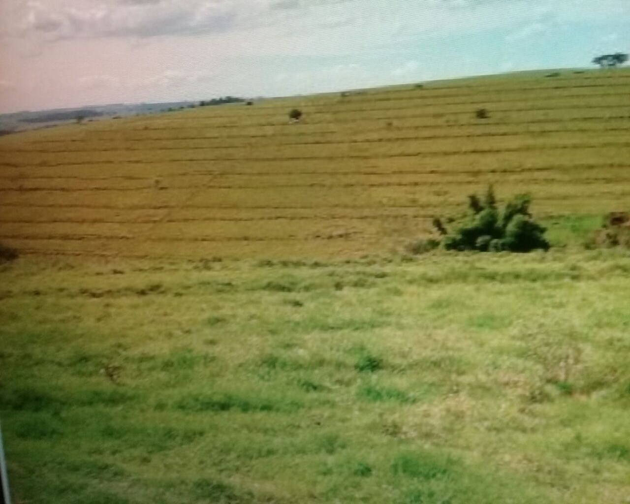 Fazenda à venda com 1 quarto, 648m² - Foto 34