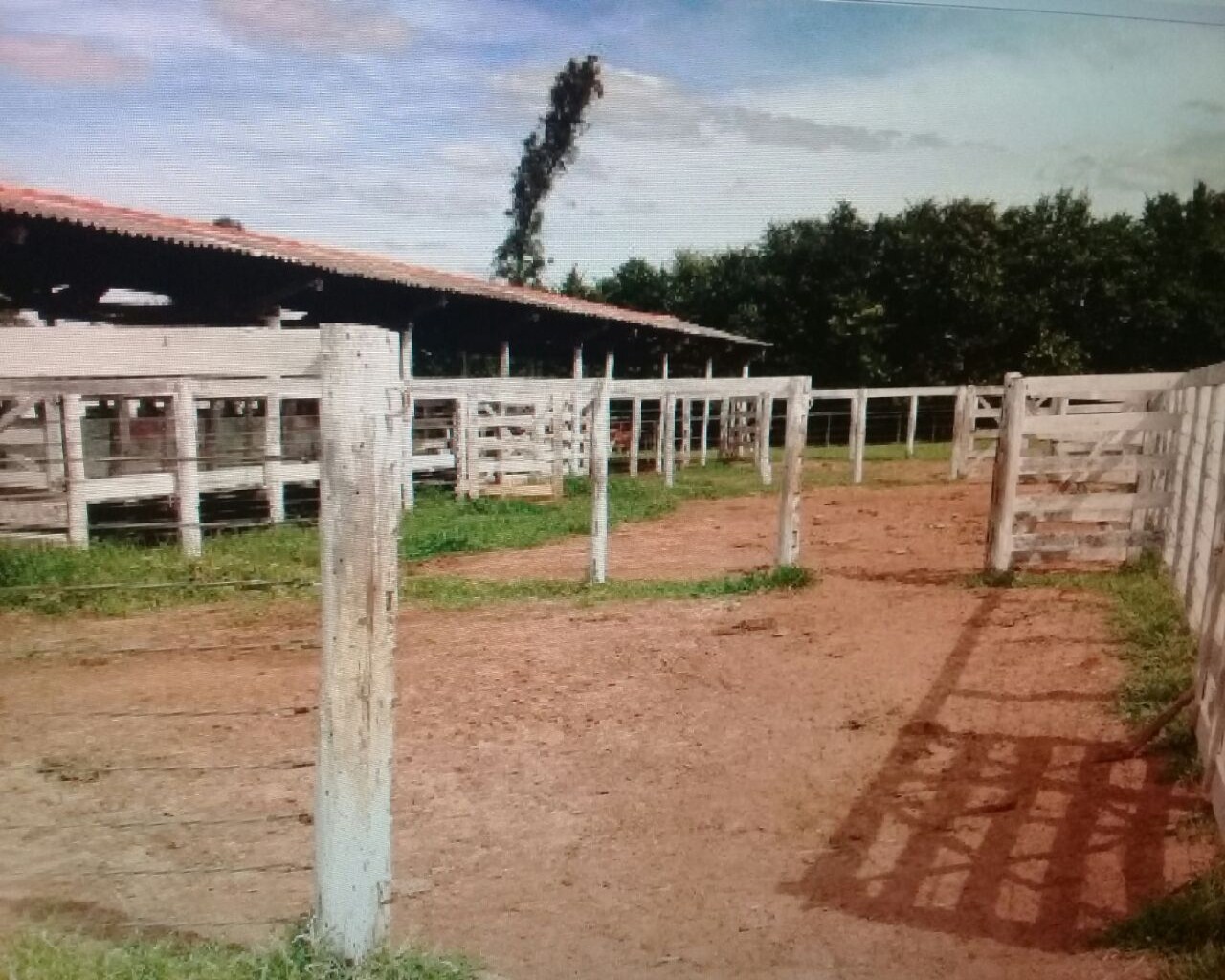 Fazenda à venda com 1 quarto, 648m² - Foto 39