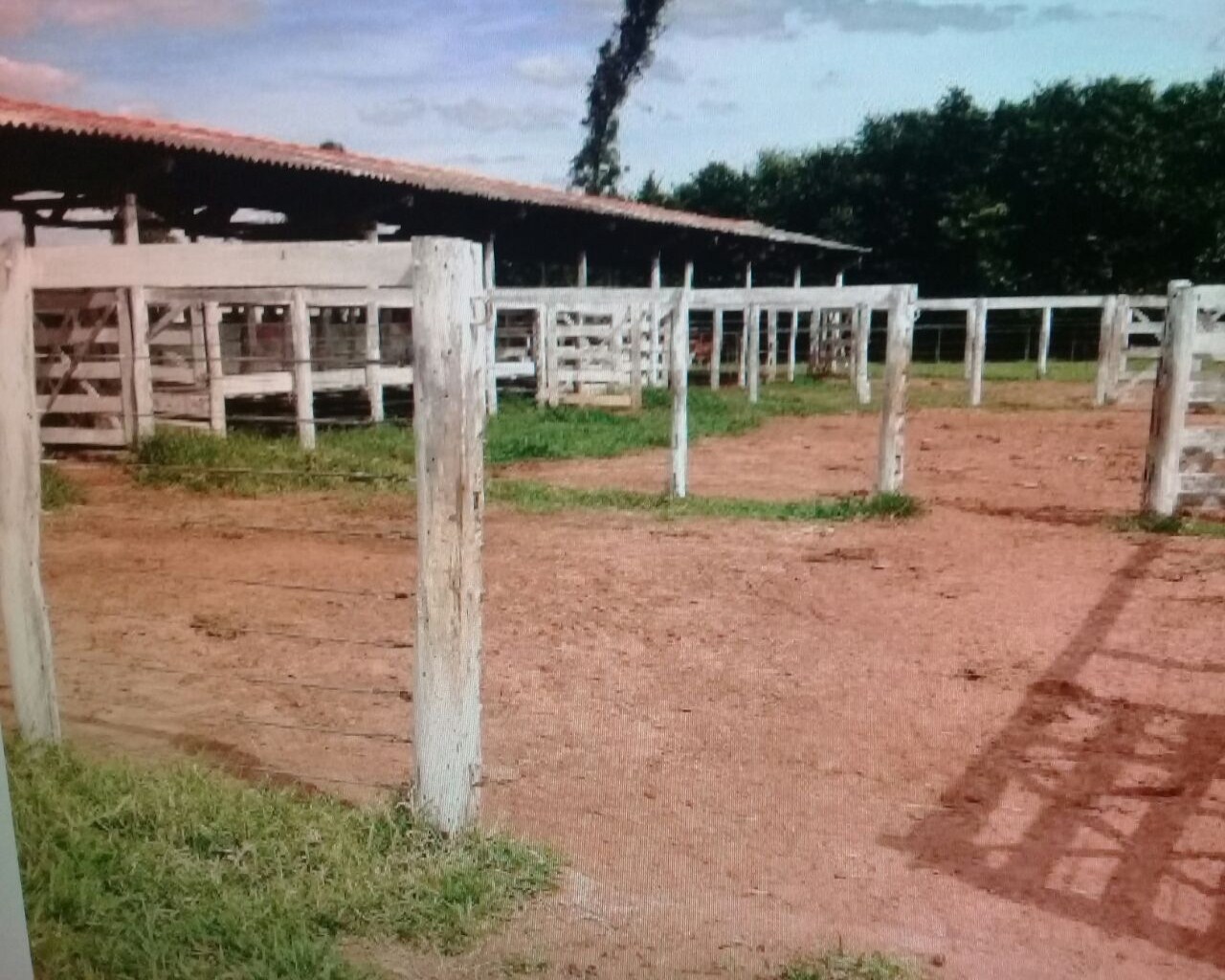 Fazenda à venda com 1 quarto, 648m² - Foto 44