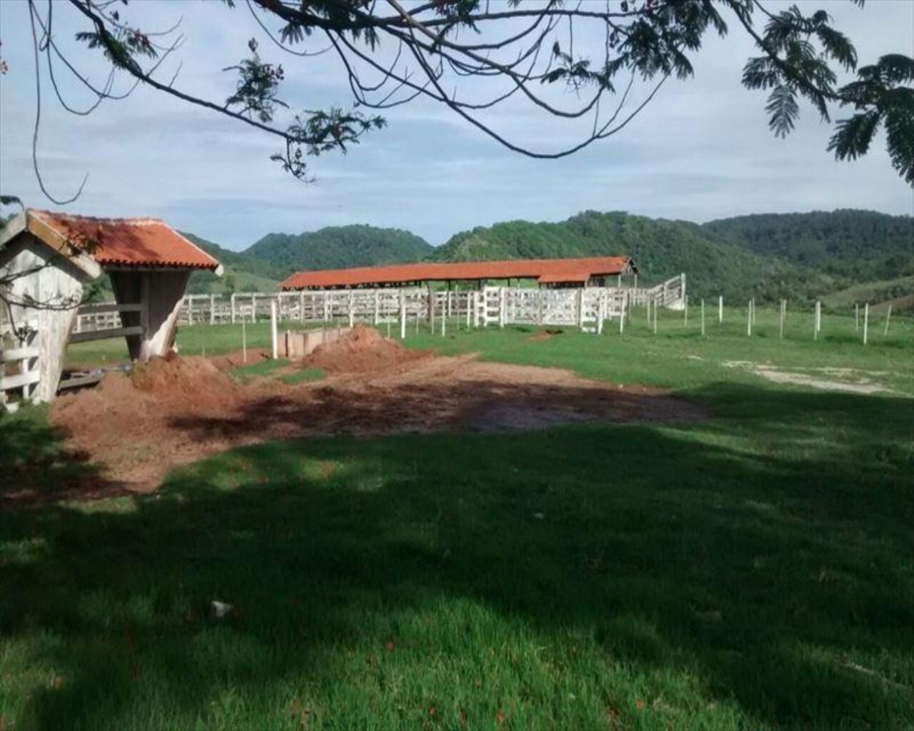 Fazenda à venda com 1 quarto, 648m² - Foto 51