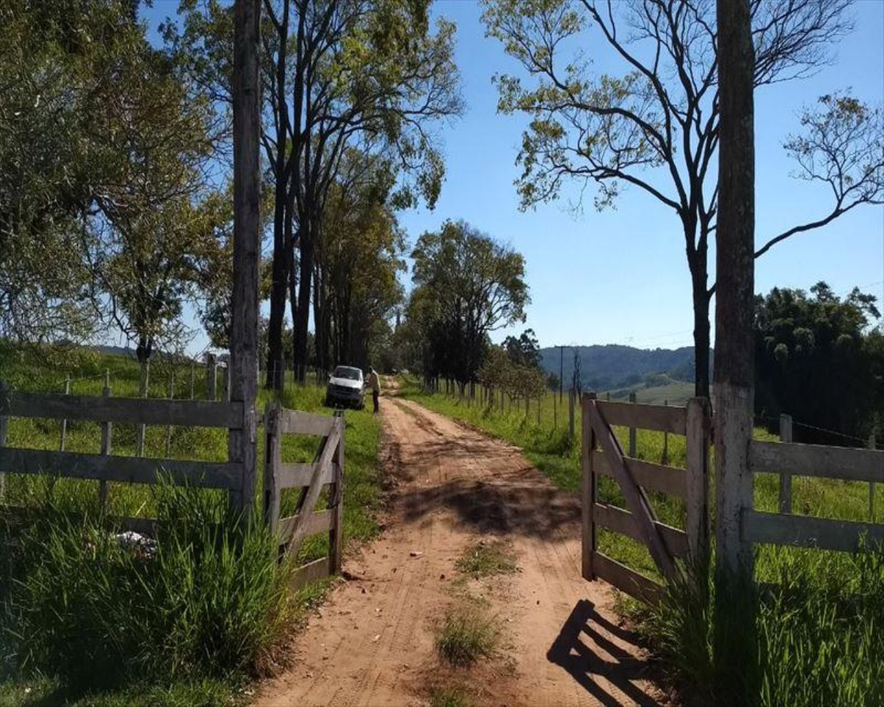 Fazenda à venda com 1 quarto, 648m² - Foto 52