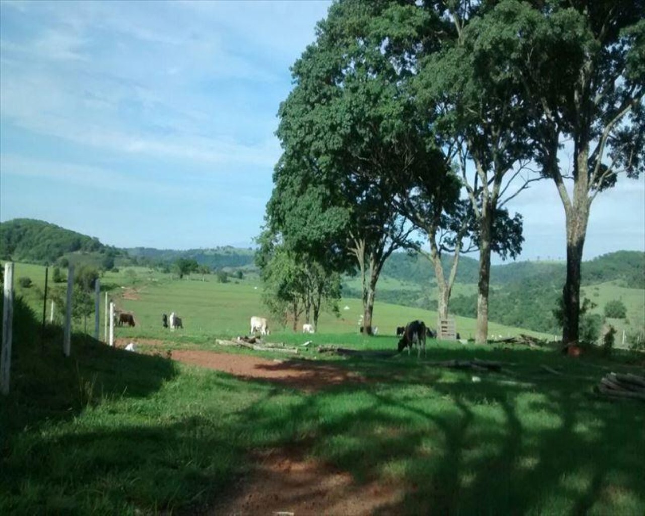 Fazenda à venda com 1 quarto, 648m² - Foto 53