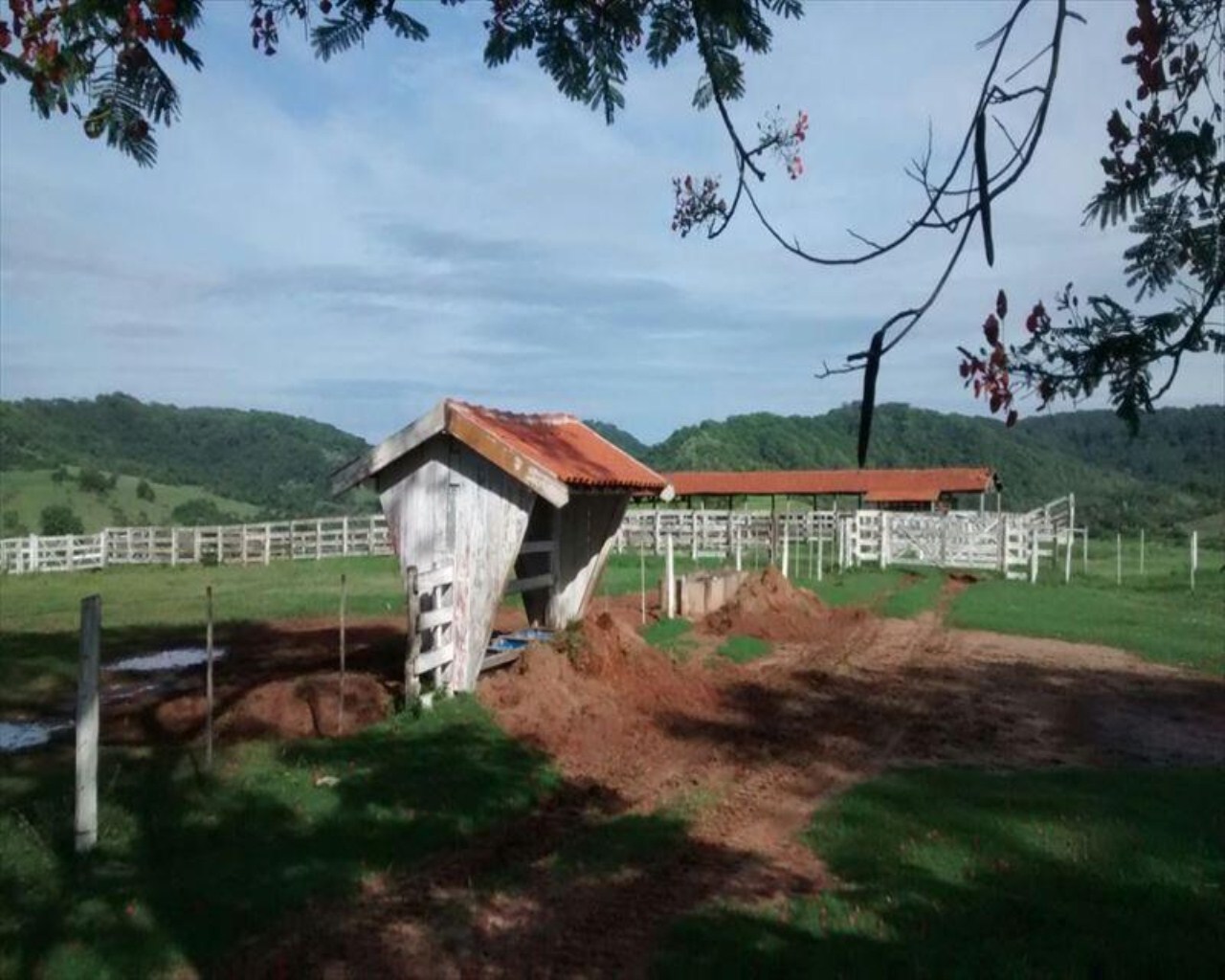 Fazenda à venda com 1 quarto, 648m² - Foto 54