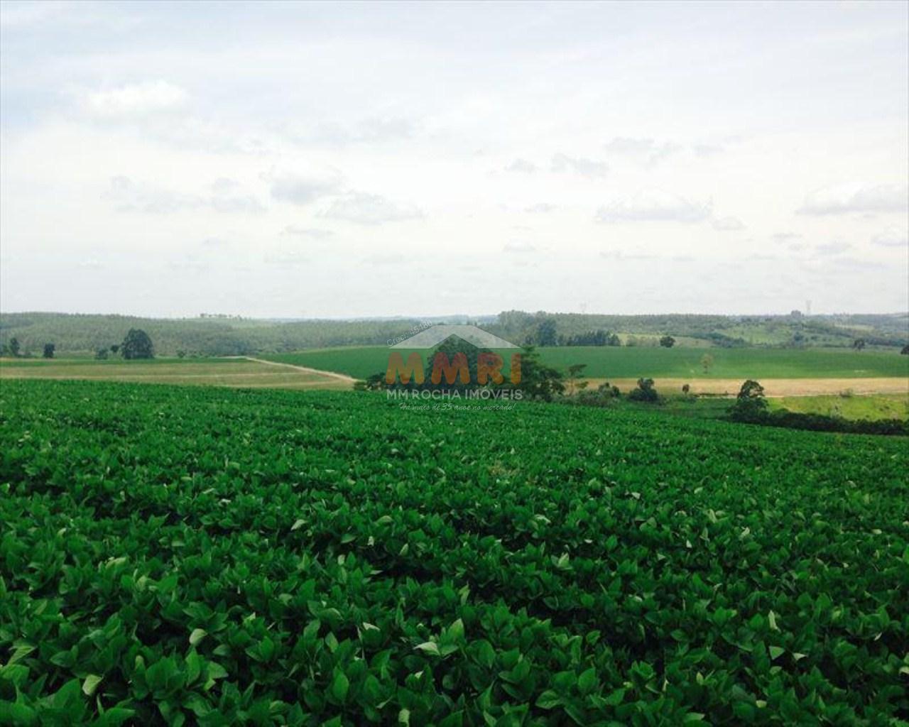 Fazenda à venda com 4 quartos, 150m² - Foto 7